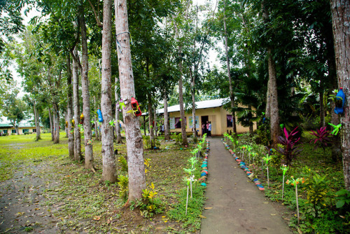 Inside the School Grounds