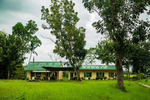 The Nipa Hut